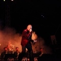 Bertín Osborne, Crooner
