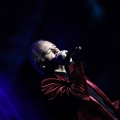 Bertín Osborne, Crooner