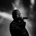 Bertín Osborne, Crooner