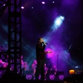 Bertín Osborne, Crooner