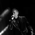 Bertín Osborne, Crooner