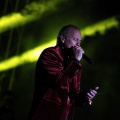 Bertín Osborne, Crooner