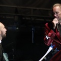 Bertín Osborne, Crooner