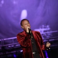 Bertín Osborne, Crooner