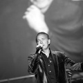 Bertín Osborne, Crooner