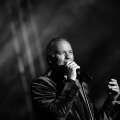 Bertín Osborne, Crooner
