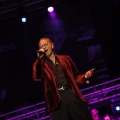 Bertín Osborne, Crooner