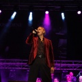 Bertín Osborne, Crooner