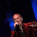Bertín Osborne, Crooner