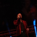 Bertín Osborne, Crooner