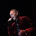 Bertín Osborne, Crooner