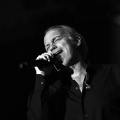 Bertín Osborne, Crooner