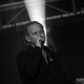 Bertín Osborne, Crooner