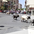 Fiestas de San Pedro