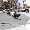 Fiestas de San Pedro