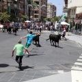 Fiestas de San Pedro