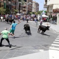 Fiestas de San Pedro