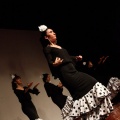 Castellón, Coppelia, estudio de danza