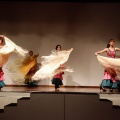 Castellón, Coppelia, estudio de danza