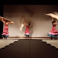 Castellón, Coppelia, estudio de danza