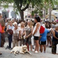 Repulsa a la violencia de género