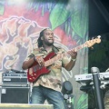 Rototom Sunsplash