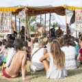 Rototom Sunsplash