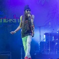 Rototom Sunsplash