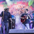 Rototom Sunsplash