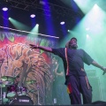 Rototom Sunsplash