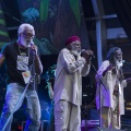 Rototom Sunsplash