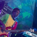 Rototom Sunsplash