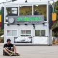 Rototom Sunsplash