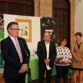 Castellón, Oxfam  2016