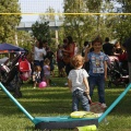 FeCStival
