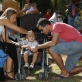 FeCStival