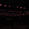 Gaiata 5 Hort Dels Corders