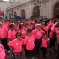 Marcha Solidaria contra el Cáncer de Mama