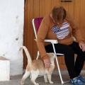Marxa a peu per les ermites
