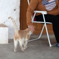 Marxa a peu per les ermites