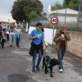 Castellón, 2016