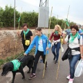 Castellón, 2016