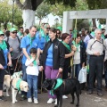 Castellón, 2016