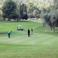 IX Torneo de Golf