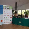 IX Torneo de Golf