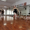 Coppelia, estudio de danza