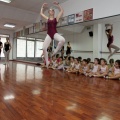 Coppelia, estudio de danza