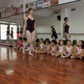 Coppelia, estudio de danza