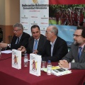 Historia del balonmano en la Comunidad Valenciana
