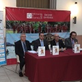 Historia del balonmano en la Comunidad Valenciana
